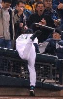 Ichiro meets fence going for foul ball